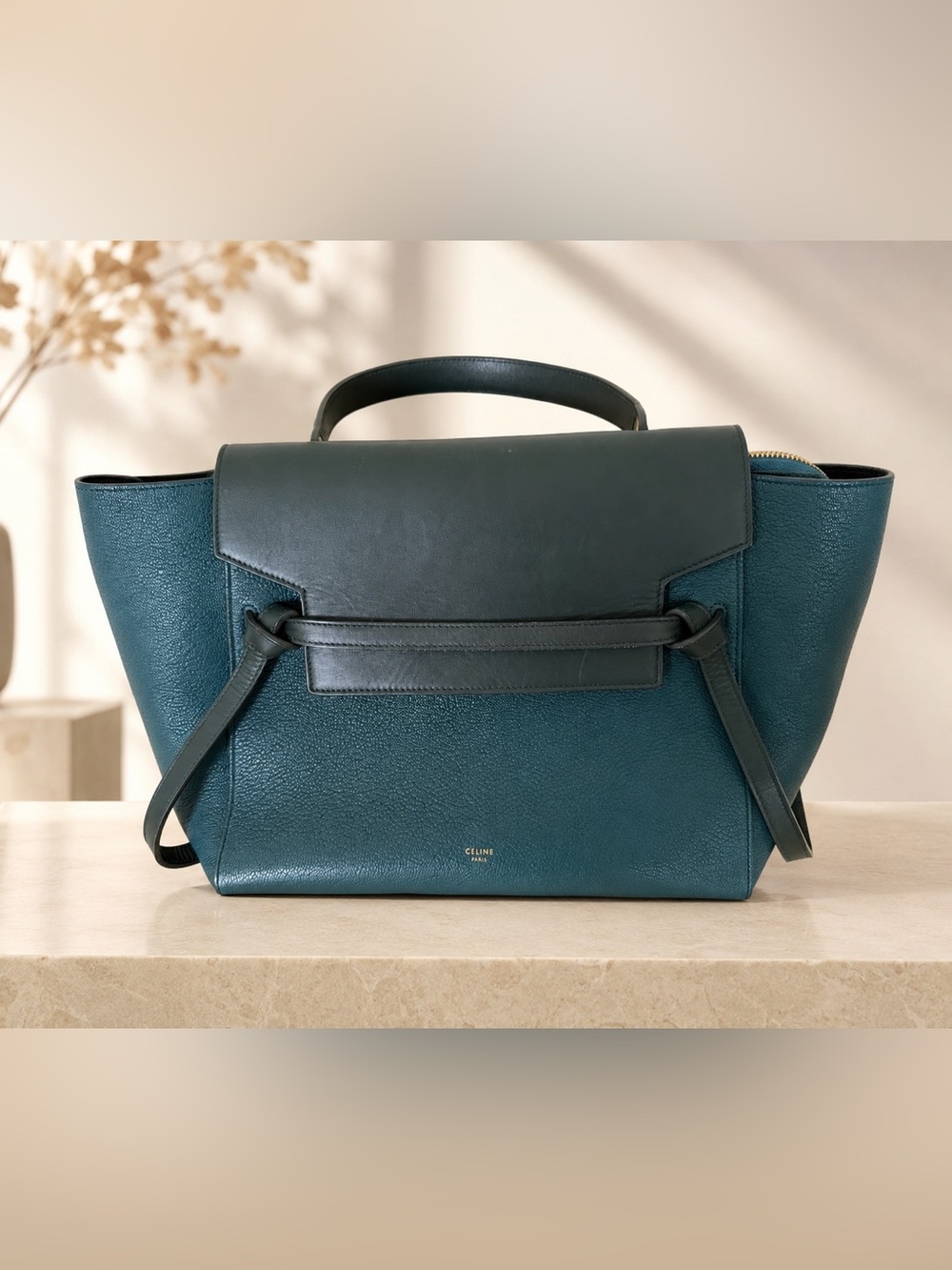 Celine Belt bag mini bicolor color amazone